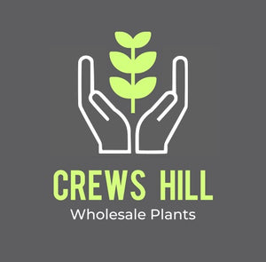 Crews Hill Wholesale Plants